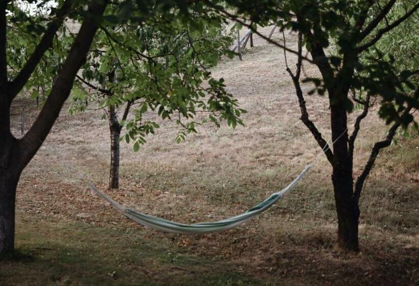 Messzelátó Vendégház