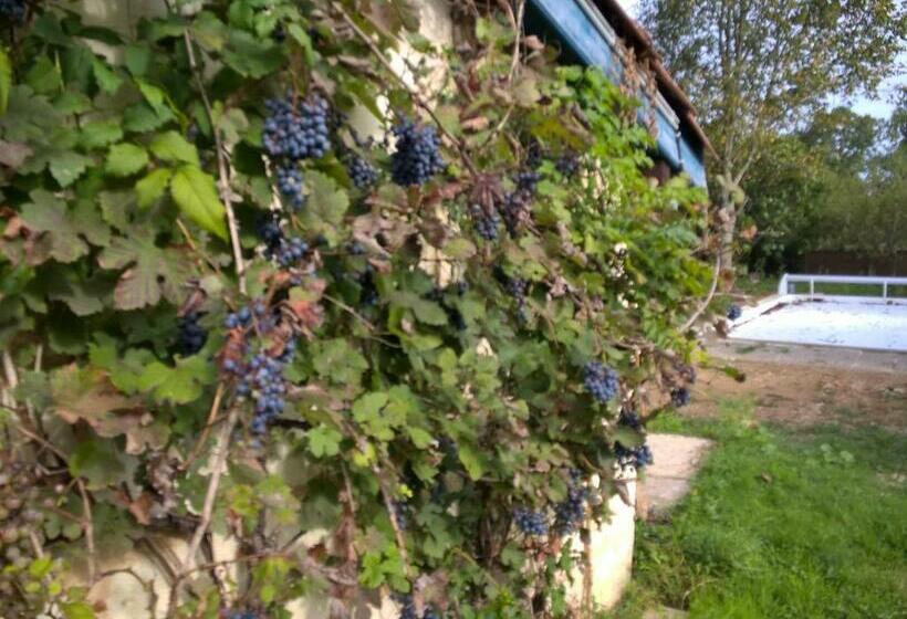 Nicely Renovated Wine Grower House