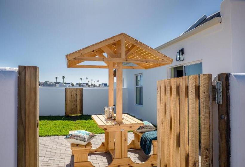 Whale & Tortoise   Lampiesbaai