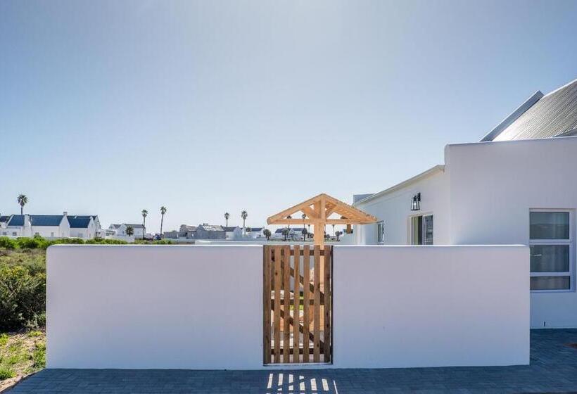 Whale & Tortoise   Lampiesbaai