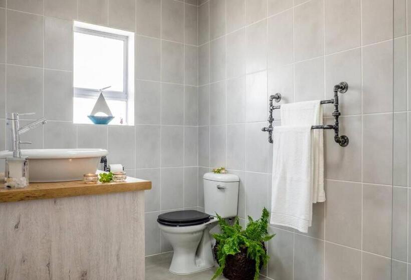 Whale & Tortoise   Lampiesbaai