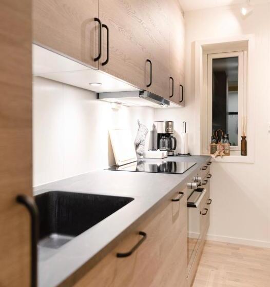 Aurora And Midnight Sun