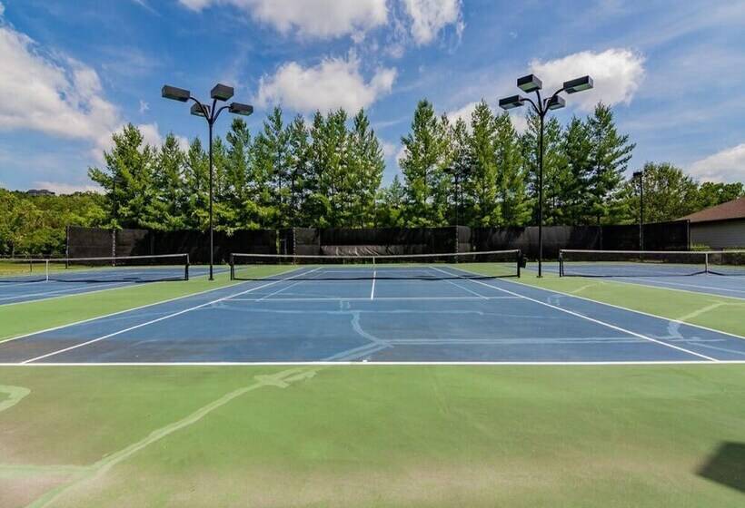 Bear Hug   Cabin Comfort   Outdoor Pool   Walking Trails  Family/group Fun!