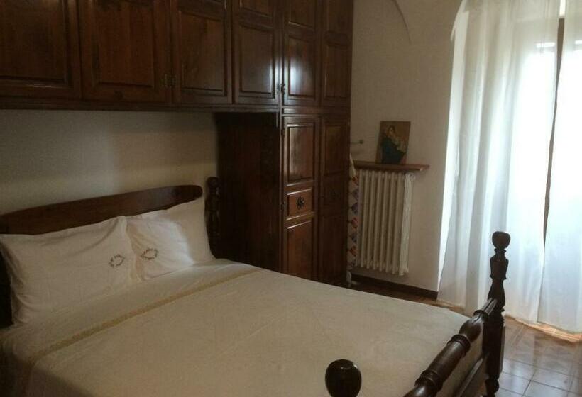 Coccinella San Marco