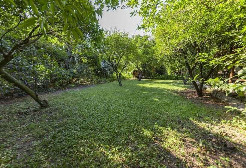 Cozy And Secluded House With Garden In Bodrum