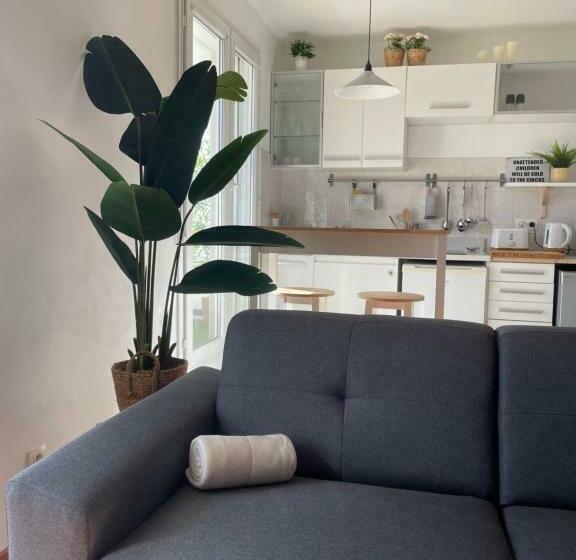 El Circo Foch, Hyper Centre