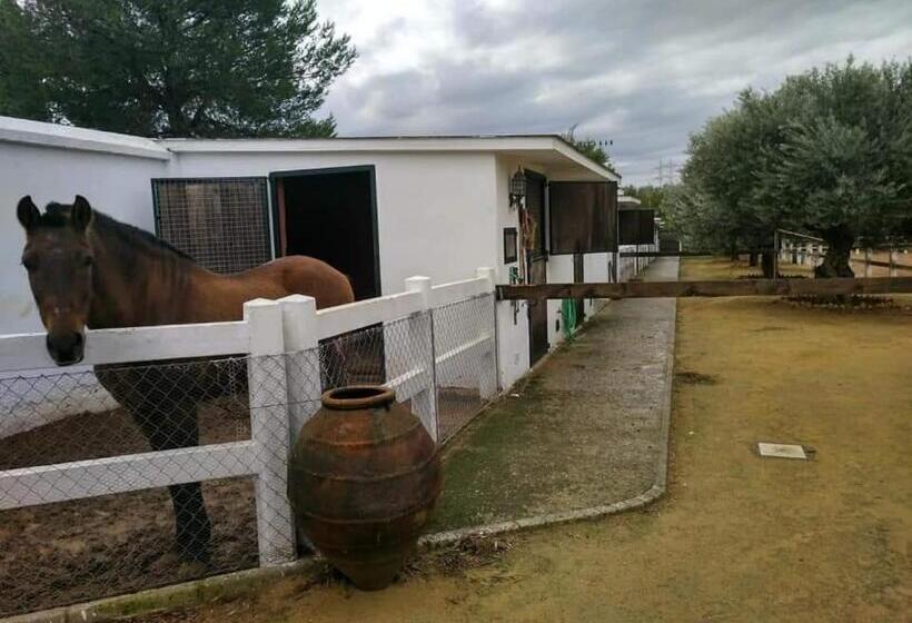 Finca Exclusiva  Para 10 17 Personas