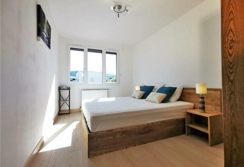 L Annécien   Centre Ville Netflix Wifi Disney+