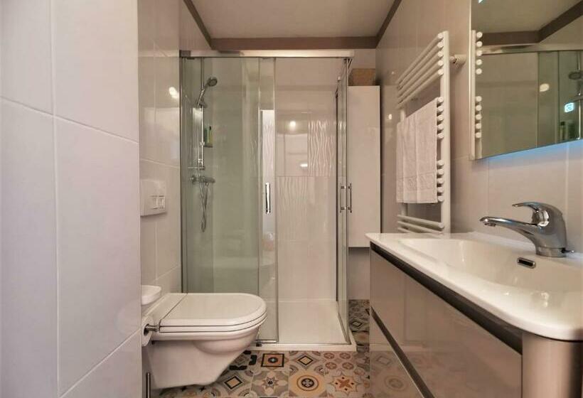 L Annécien   Centre Ville Netflix Wifi Disney+