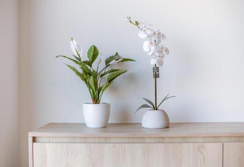 Modern Apartment With Sea View In Knokke Heist