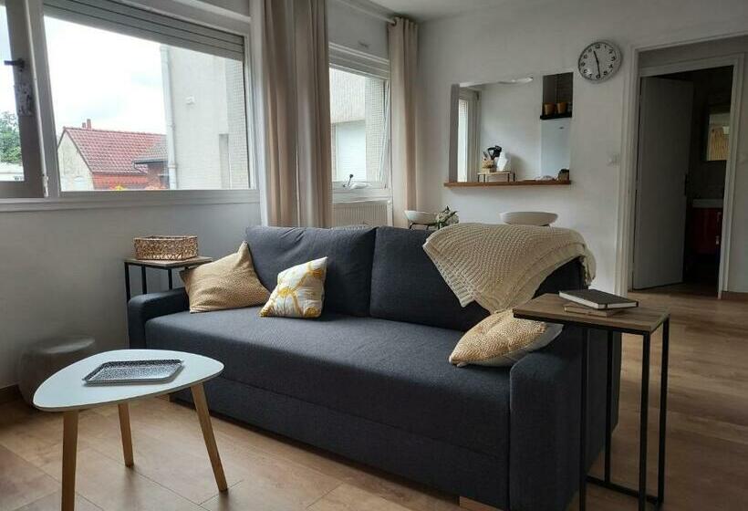 Au Nid D Or : Appartement Tout Confort Hyper Centre Béthune