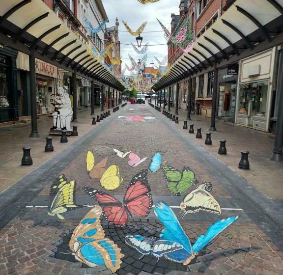 Au Nid D Or : Appartement Tout Confort Hyper Centre Béthune