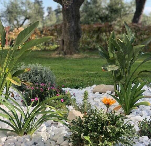 Dèpendance Immersa Tra Gli Ulivi