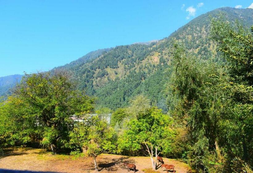 Oyo Home 84691 Homestay Rashid Wani