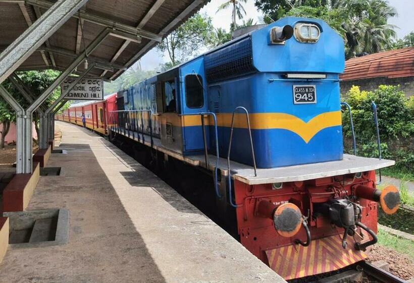 Richmond Hill View Point