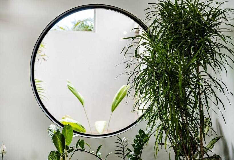 The Mvillas With Exclusive Beach Club Access