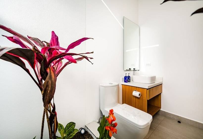 The Mvillas With Exclusive Beach Club Access