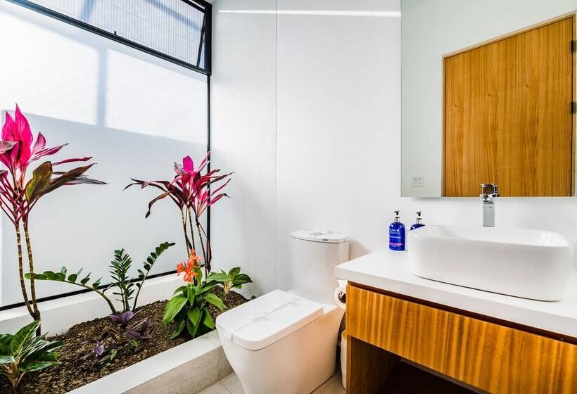 The Mvillas With Exclusive Beach Club Access