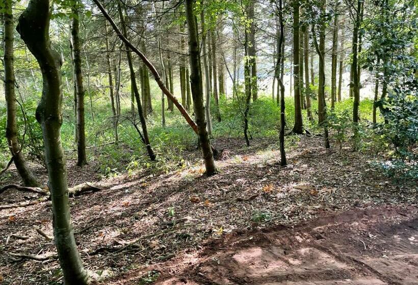 3, Telford Mews, Beattock