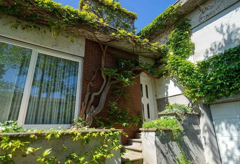 Cosy Home In South Alsace For Work And Leisure