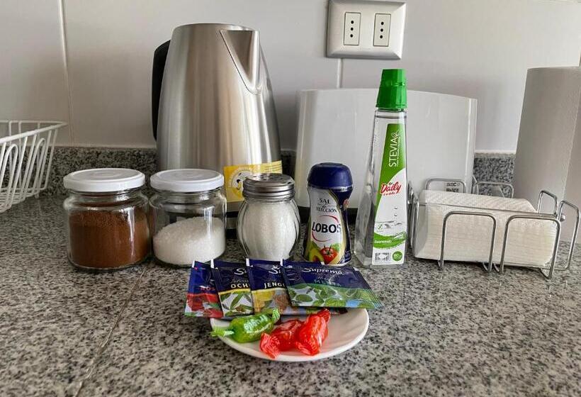 Departamento Chillan Céntrico