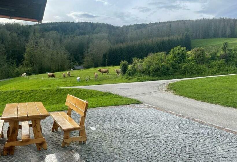 Ferienwohnung ,hoizmann`