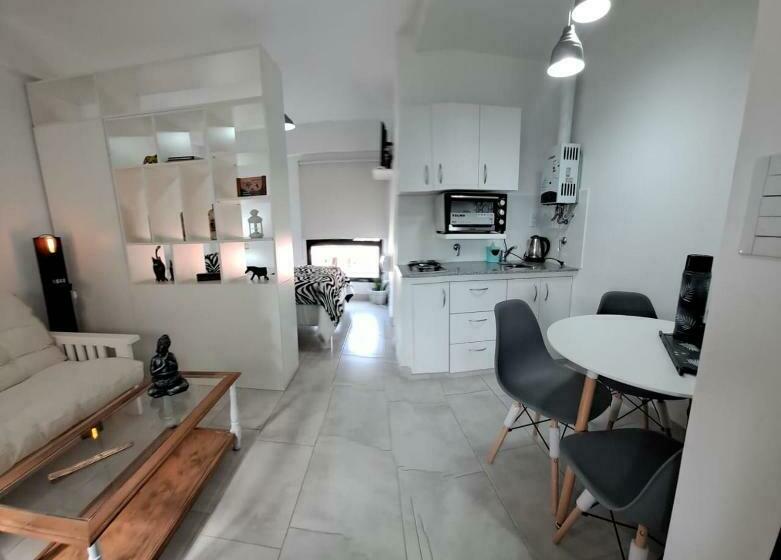 Francia I Monoambiente