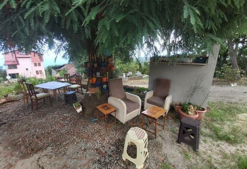 Kutuban Hostel Ve Komle