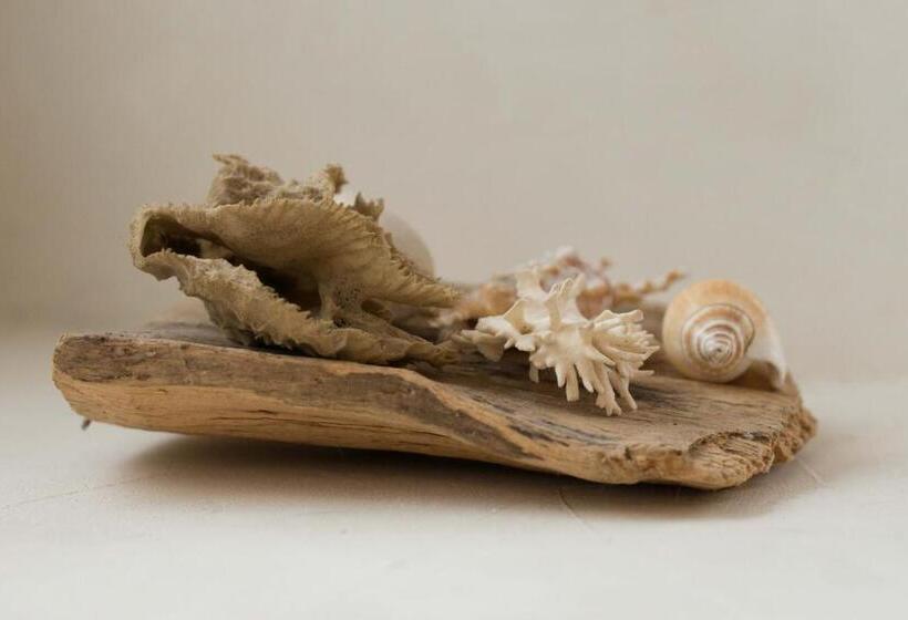 La Belle Iroise   Maison De Ville Proche Mer