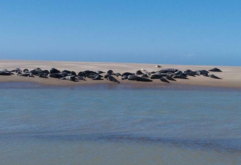 Le Gîte De La Salicorne