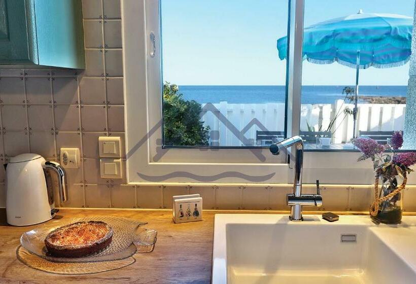 Localise Au Guilvinec   A16   Vue Sur La Mer, La Piscine Et Le Jardin   Tout à Pied, Plages, Port, C