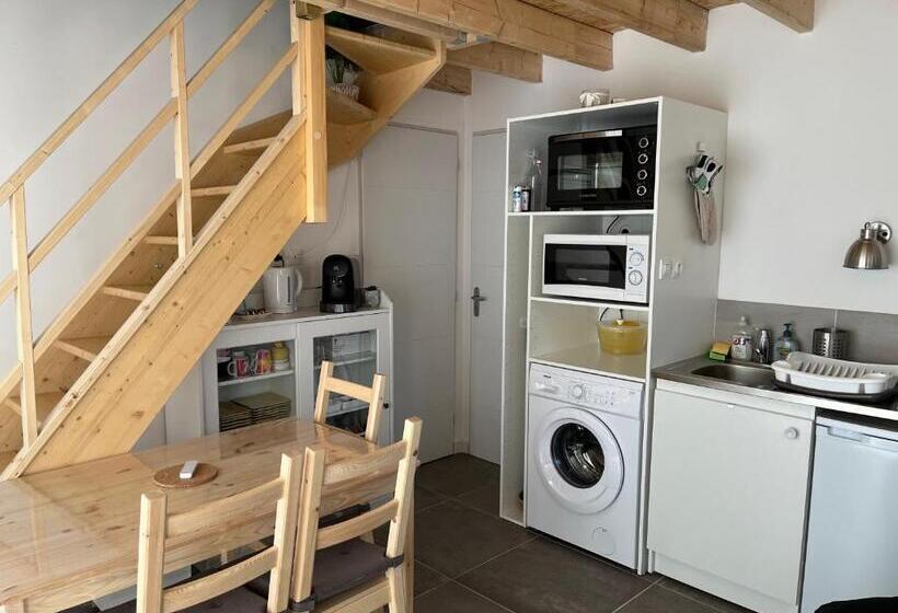 Studio Petit Fare Rochois Avec Mezzanine