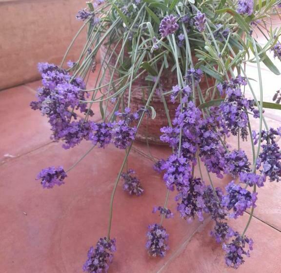 Sea View Penthouse With Beautiful Terrace   Casa Verdi Jayanti