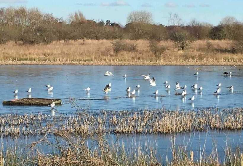 Stunning Luxury Apartment Near Motherwell