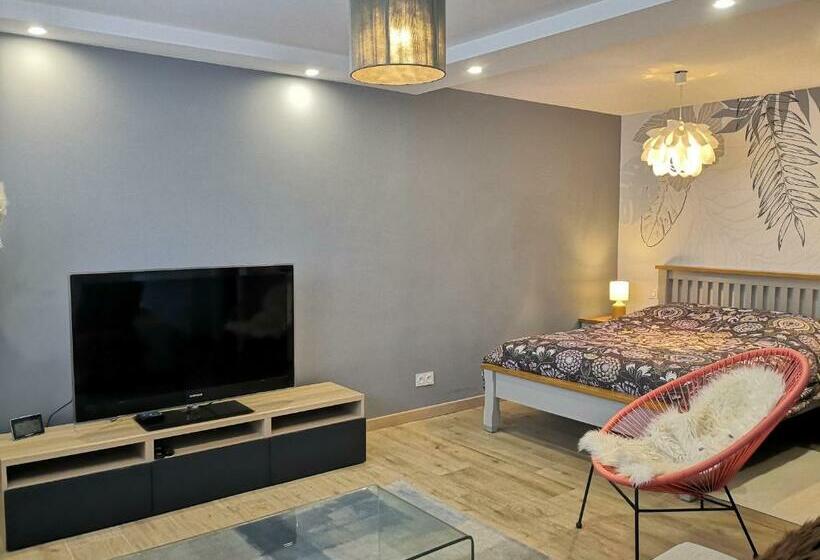 Superbe Cosy T1 Bis Studio 40m2 Indépendant En Maison Avec Parking Gratuit