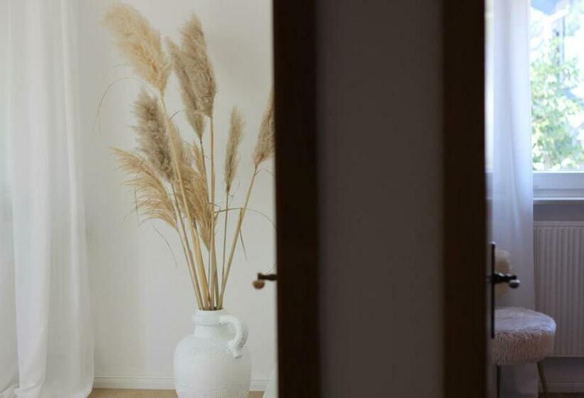 Vulkan Nest In Der Eifel