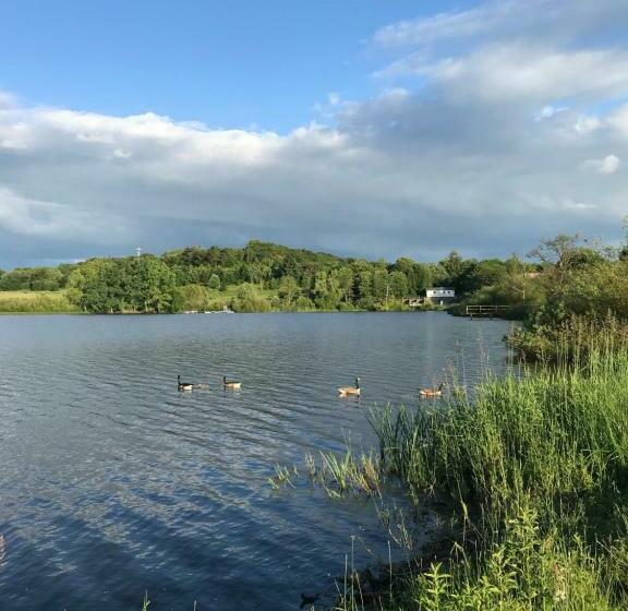 Vulkan Nest In Der Eifel