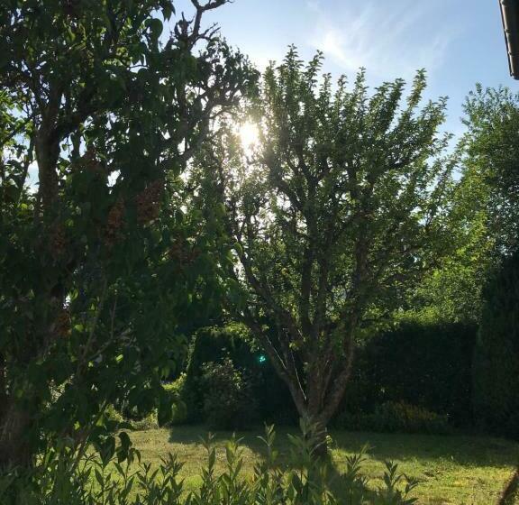 Vulkan Nest In Der Eifel