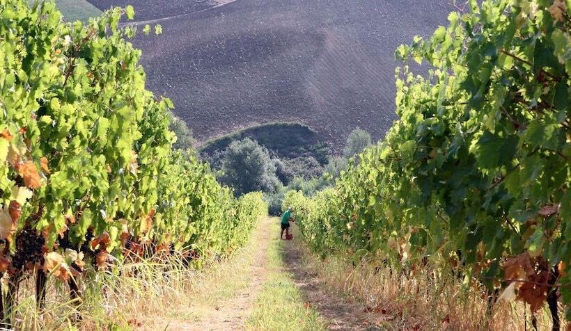 Agriturismo Villa Venti