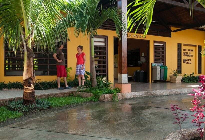 Amazon Bed And Breakfast