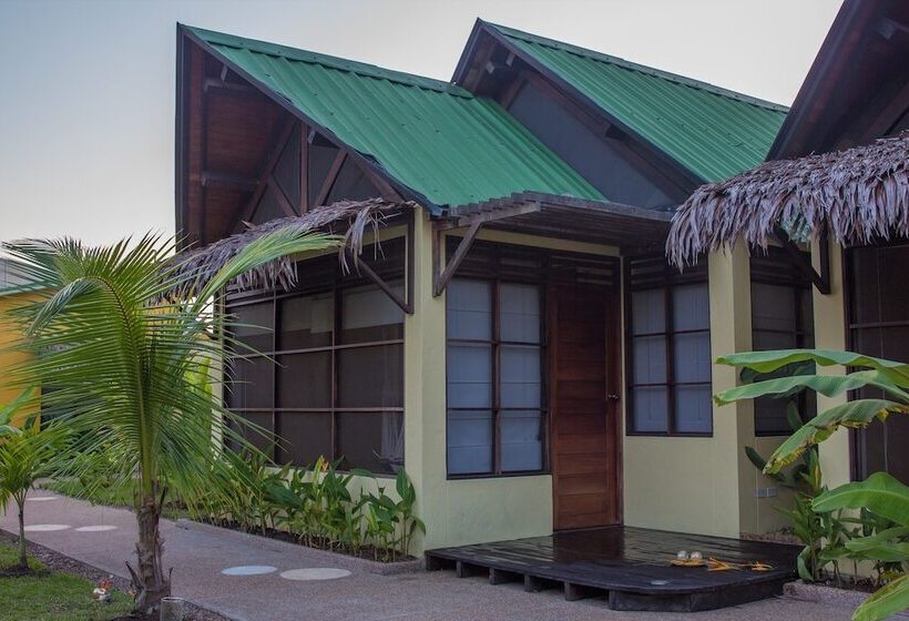 Amazon Bed And Breakfast