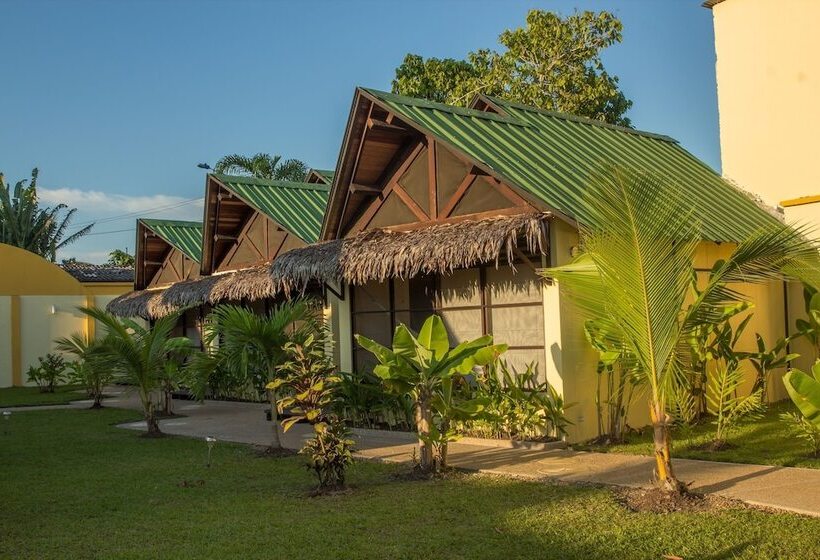 Amazon Bed And Breakfast