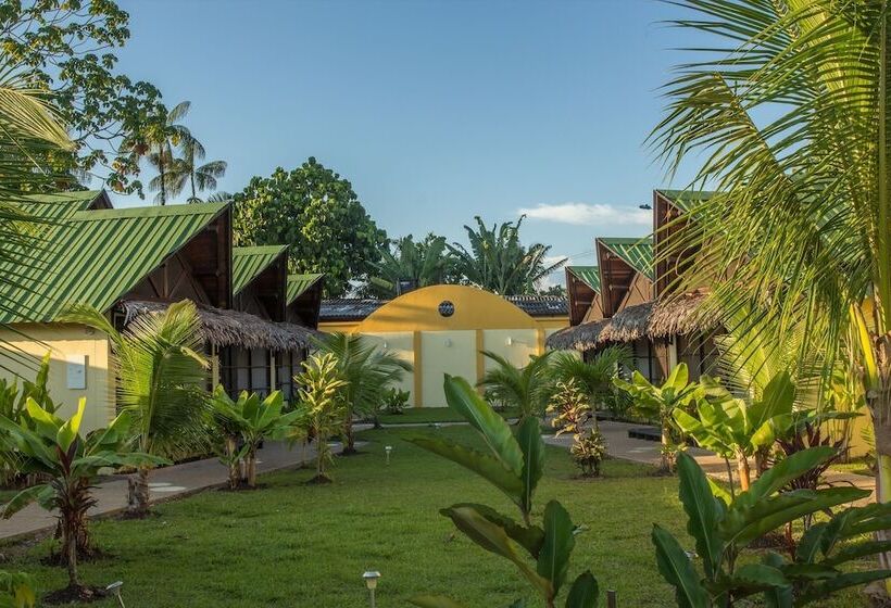 Amazon Bed And Breakfast