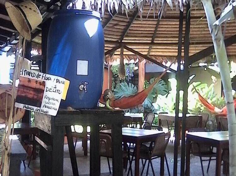 Amazon Bed And Breakfast