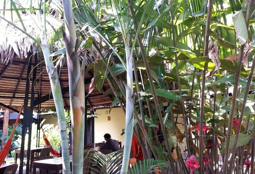 Amazon Bed And Breakfast