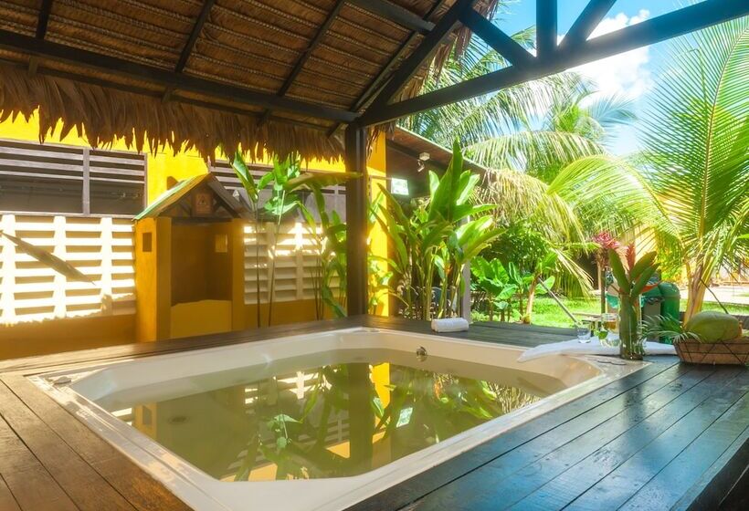 Amazon Bed And Breakfast