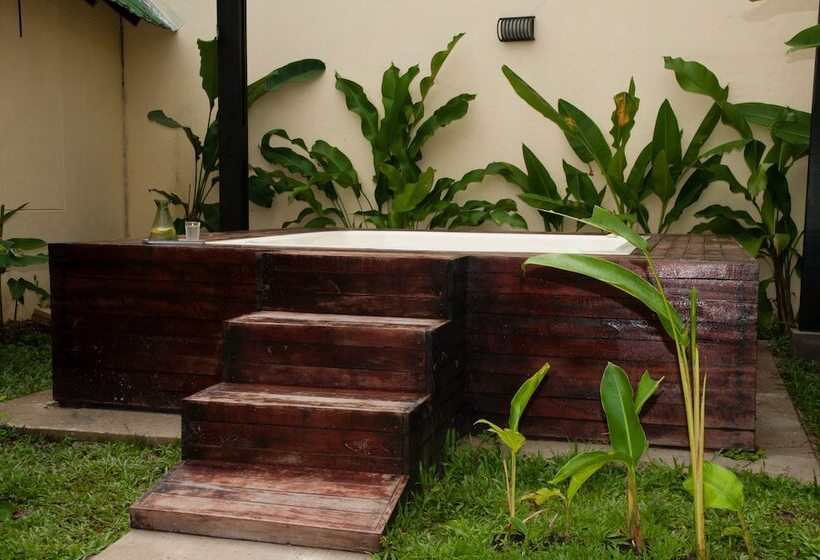 Amazon Bed And Breakfast