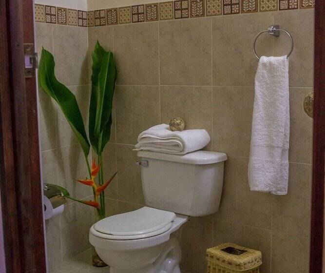 Amazon Bed And Breakfast