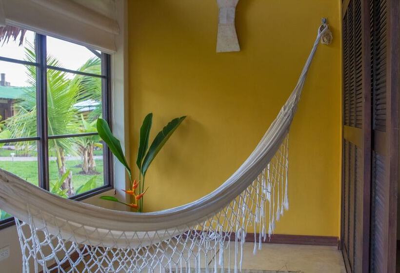 Amazon Bed And Breakfast