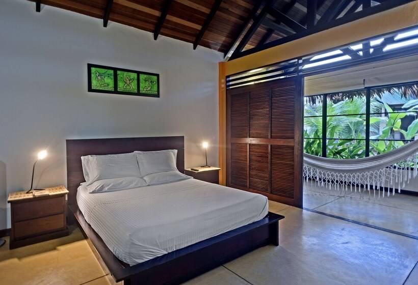 Amazon Bed And Breakfast